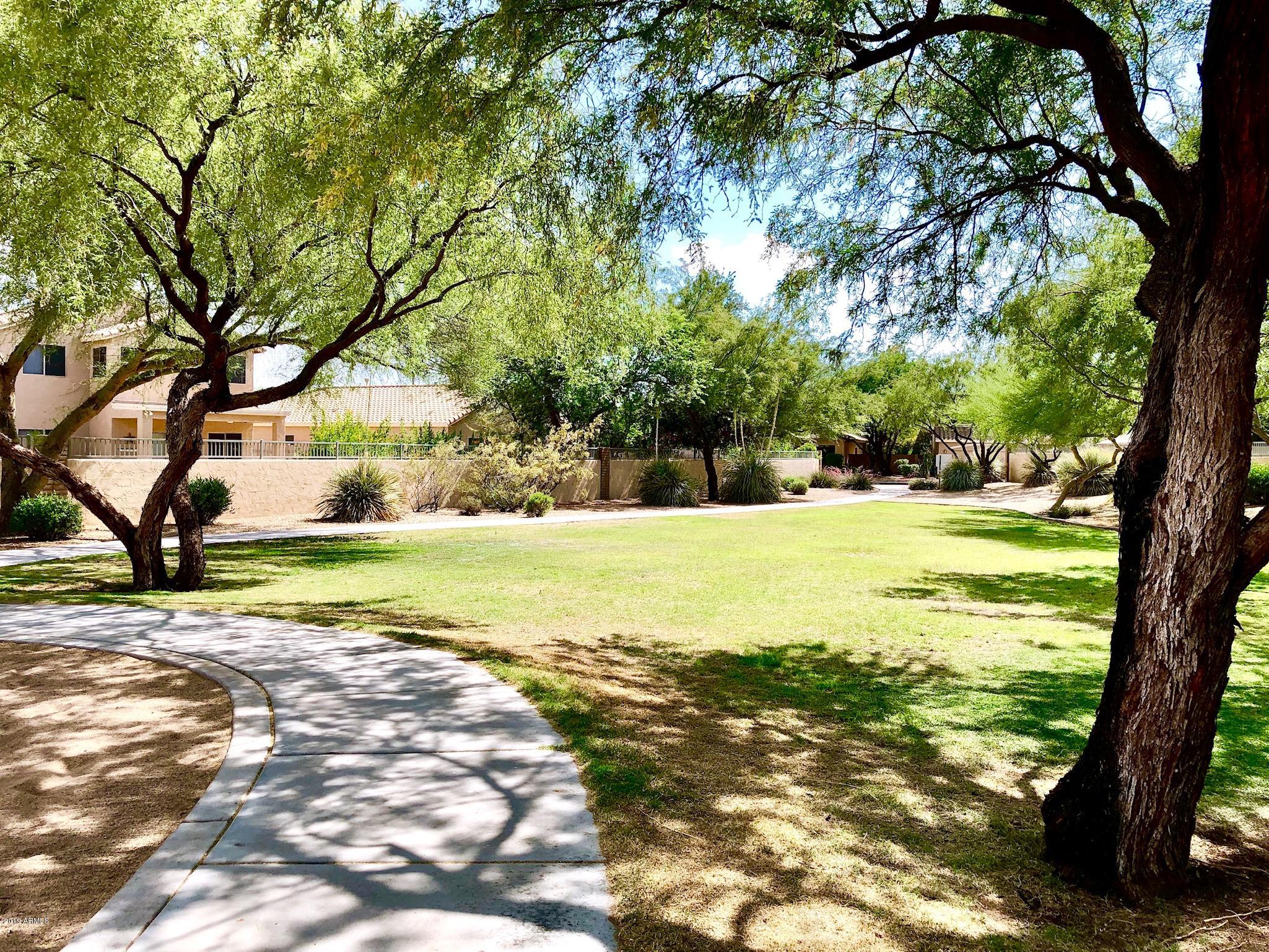 4053 West Saddlehorn Road Phoenix, AZ 85083 - Photo 45 of 47 Greenbelt