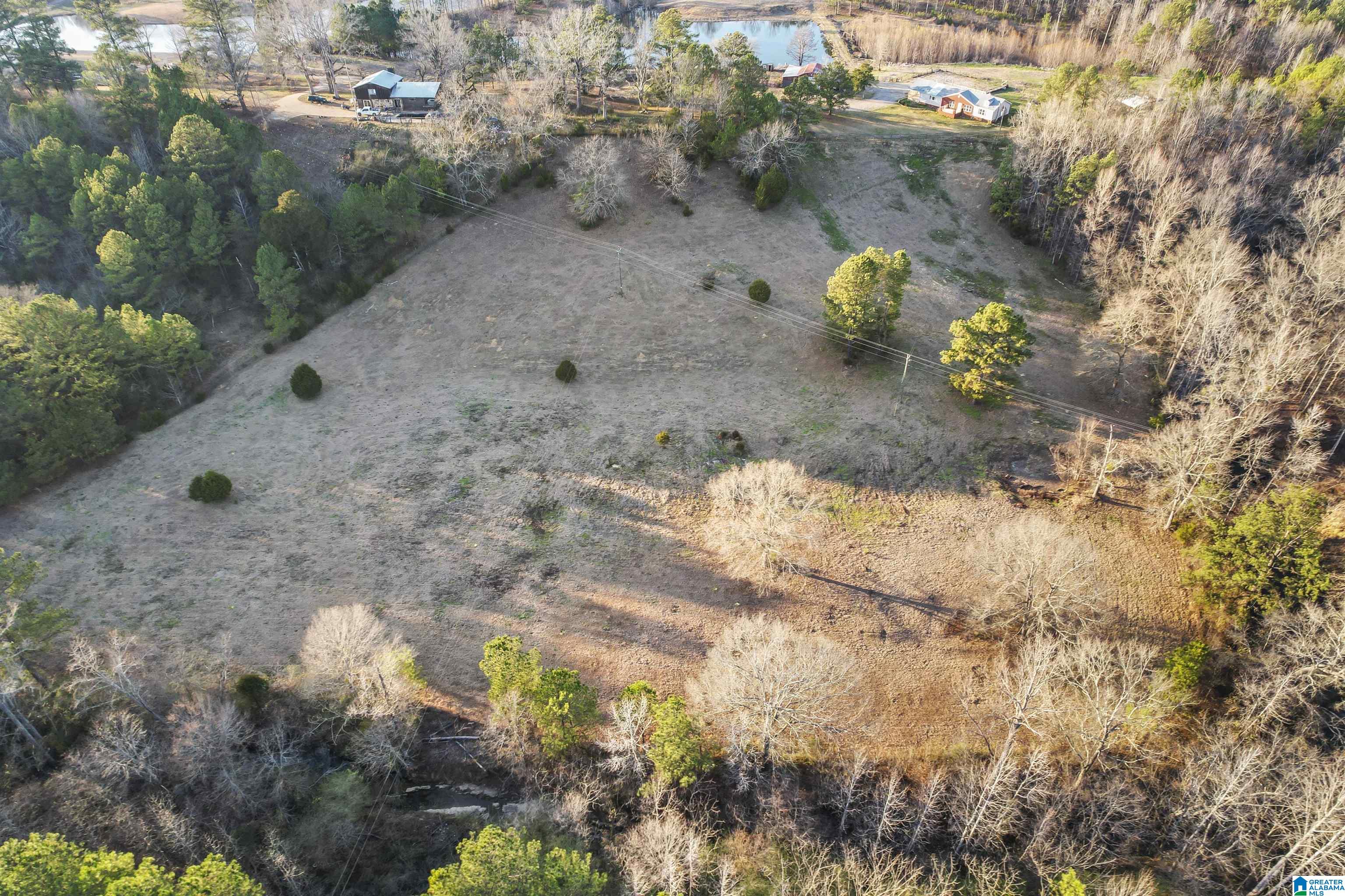 7080 Parsons Lake Road Adger, AL 35006 - Photo 51 of 59