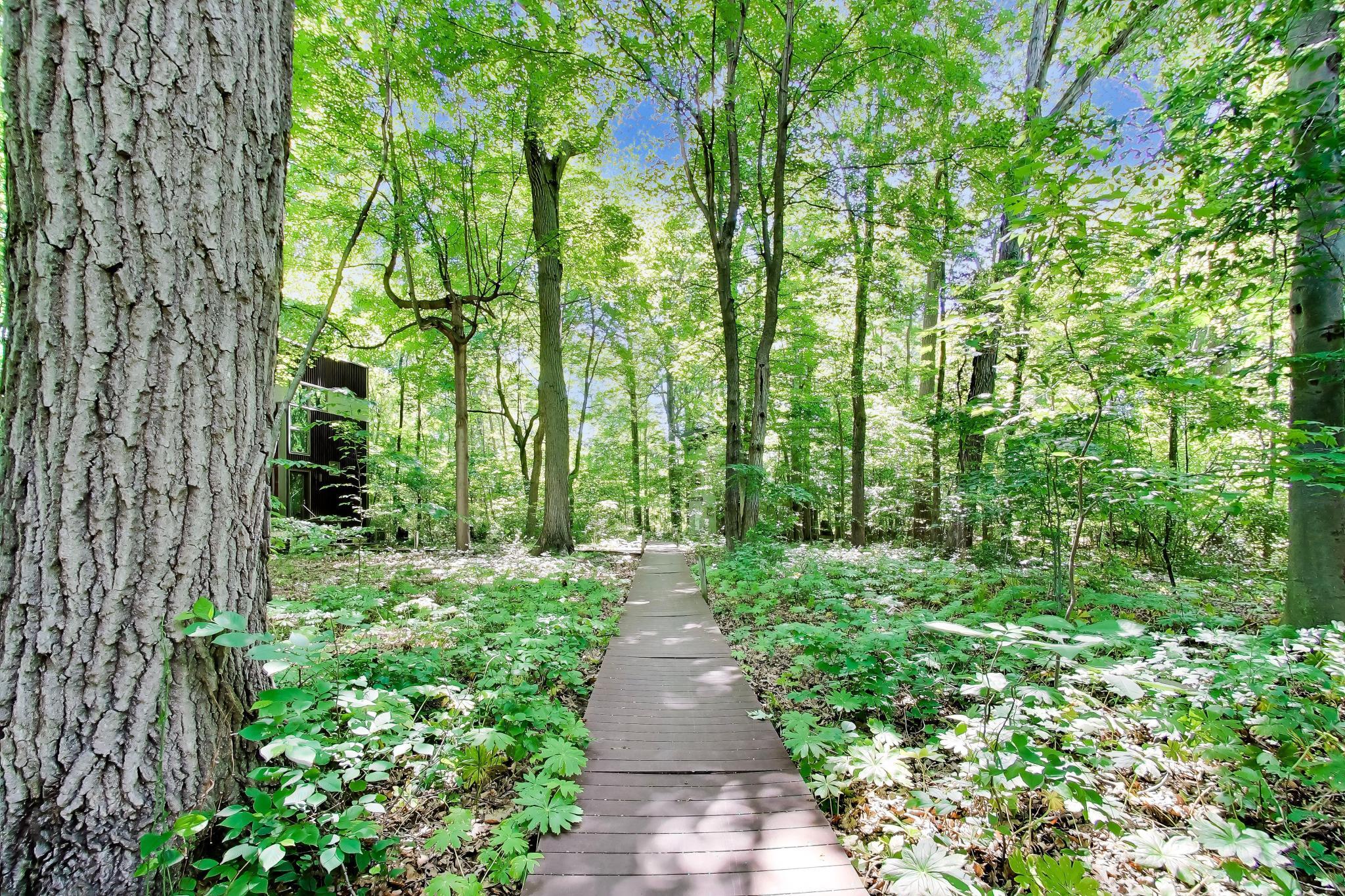 44 Tryon Farm Lane Michigan City, IN 46360 - Photo 27 of 37 a view of a pathway both side of yard