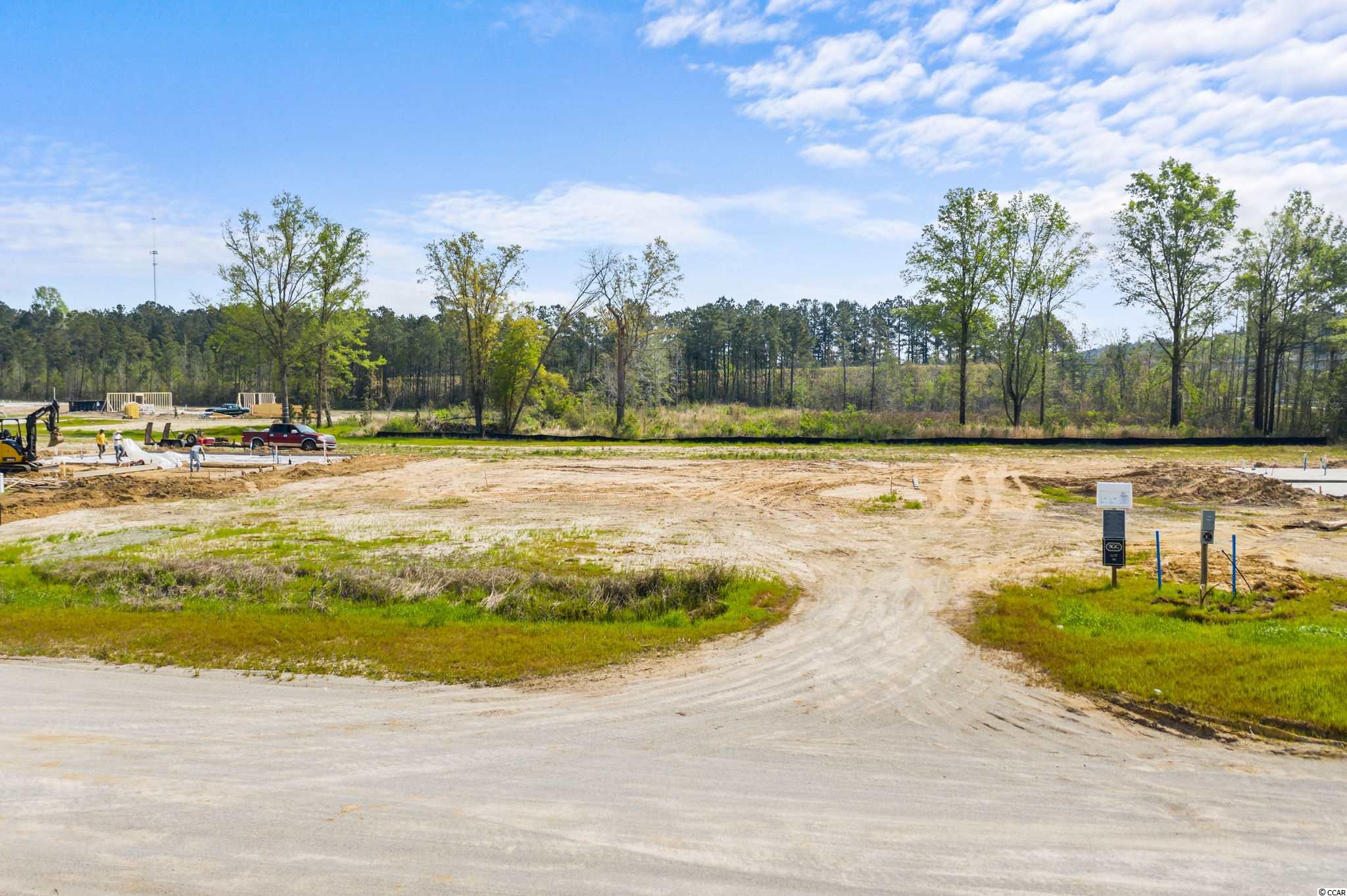 4713 Smith Road Conway, SC 29526 - Photo 3 of 12 Gallery Image 3