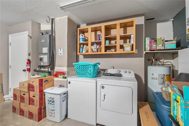 a backyard of a house with plants and large tree
