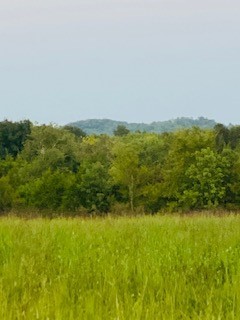 2925 Swindell Hollow Road Lebanon, TN 37090 - Photo 13 of 23 Gallery Image 13