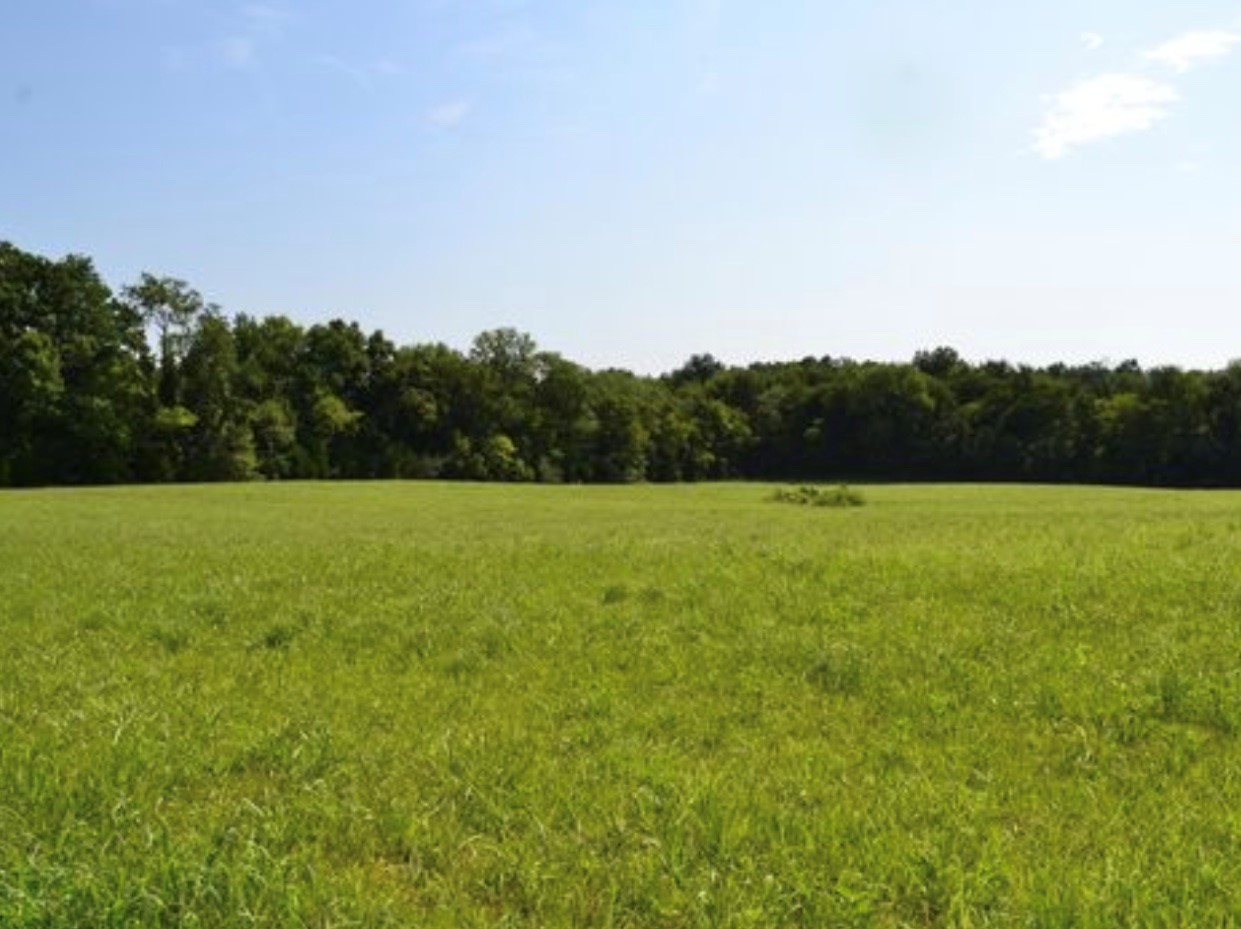 2925 Swindell Hollow Road Lebanon, TN 37090 - Photo 16 of 23 Gallery Image 16