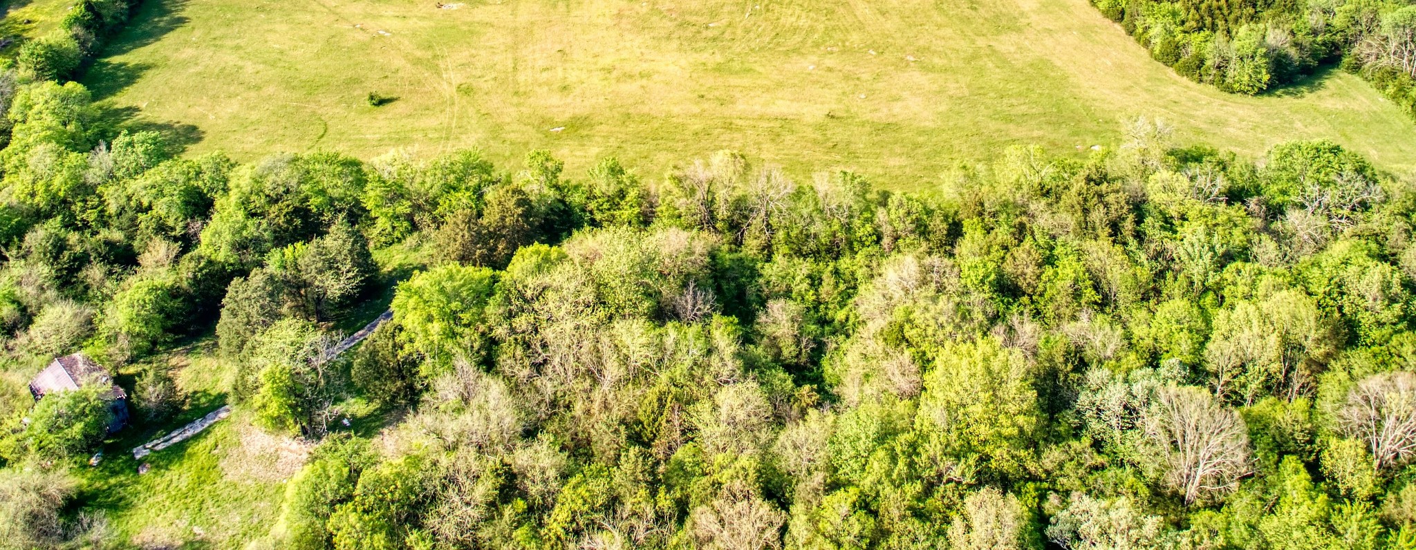 2925 Swindell Hollow Road Lebanon, TN 37090 - Photo 10 of 23 Gallery Image 10
