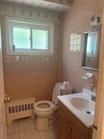 a bathroom with a toilet a sink and a window