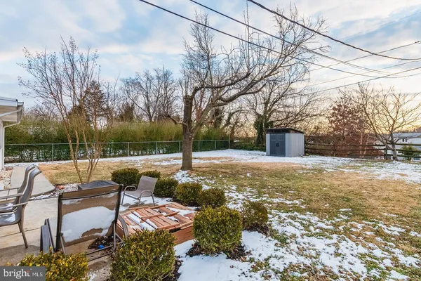 a view of backyard with large trees