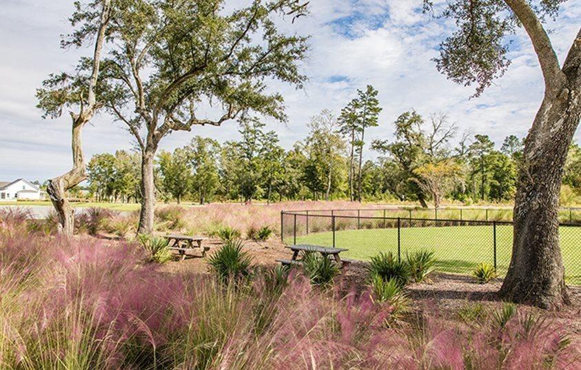 115 Post Mill Drive Summerville, SC 29485 - Photo 20 of 21 Bark Park