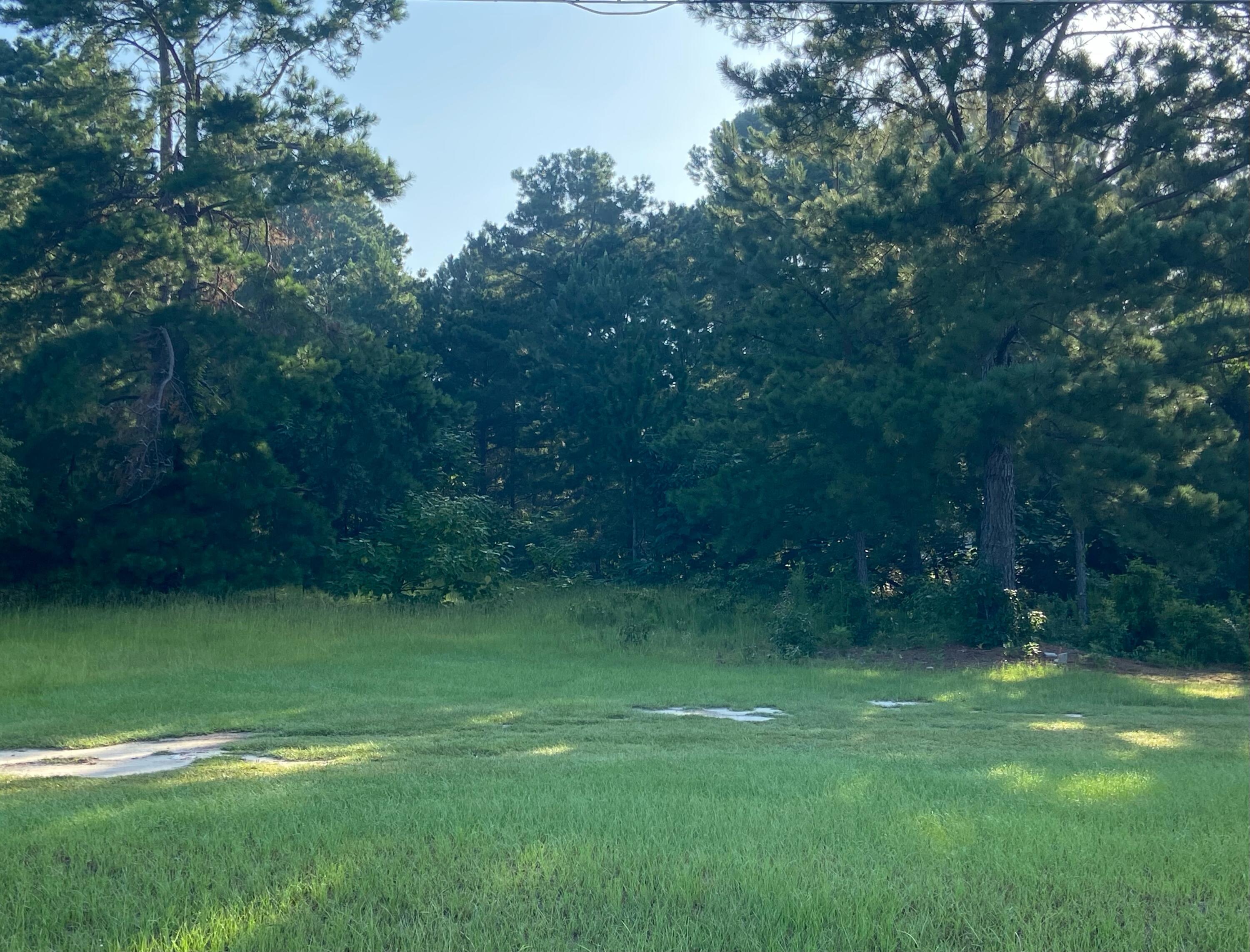 749 Bennock Mill Road Augusta, GA 30906 - Photo 2 of 4 Bennock Mill