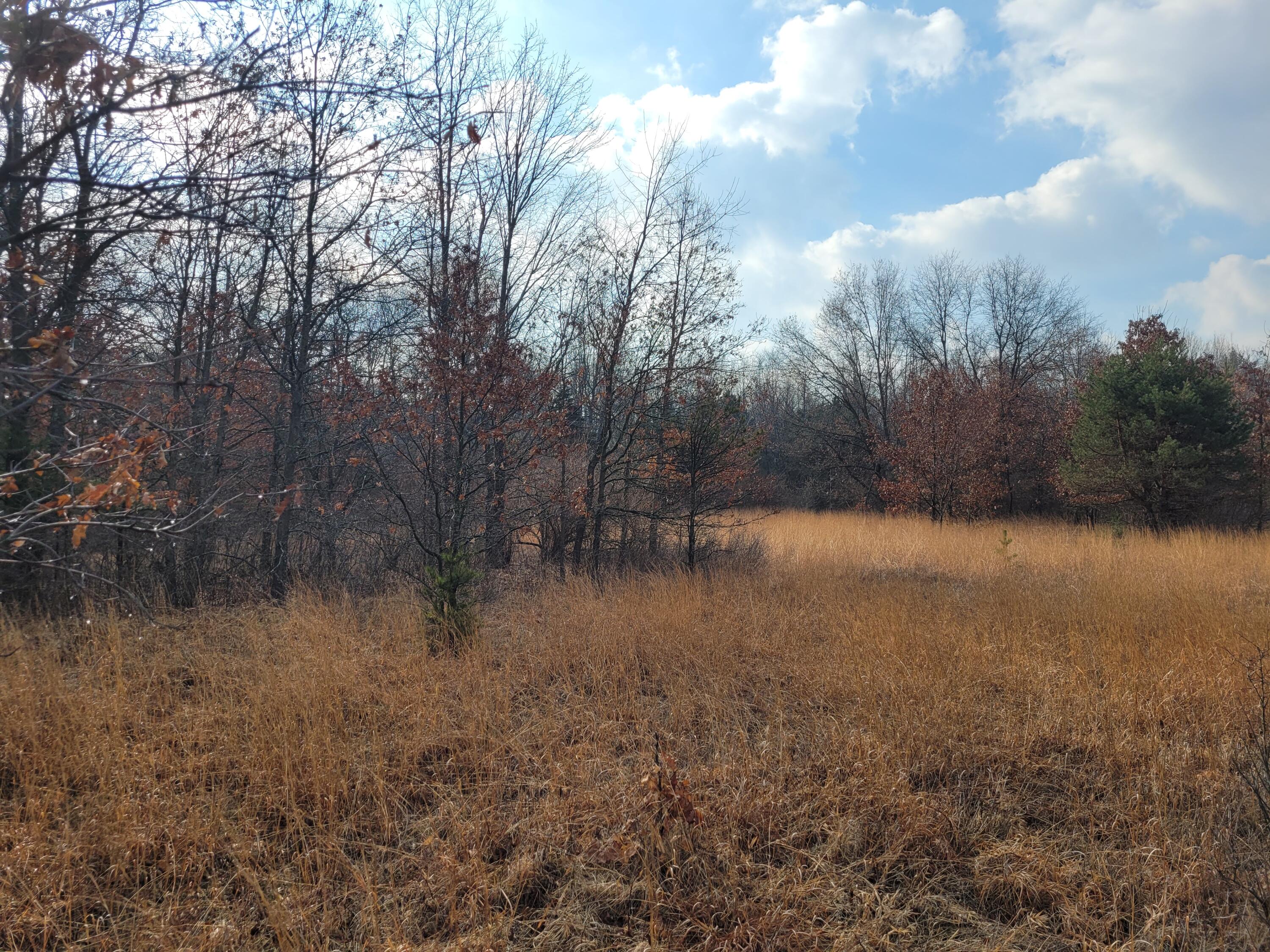 West Cutler Road Newaygo, MI 49337 - Photo 3 of 4 20220316_104650 (1)
