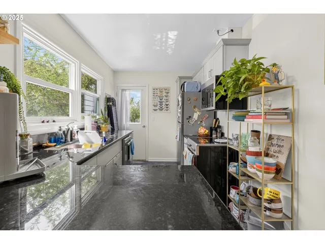 a living room filled with furniture and a potted plant