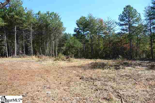 6238 Highway 11 Inman, SC 29349 - Photo 1 of 1 Gallery Image 1