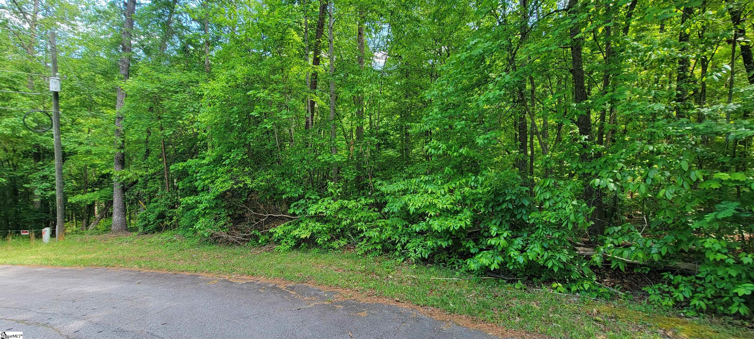 0 Lynden Loop Westminster, SC 29693 - Photo 2 of 19