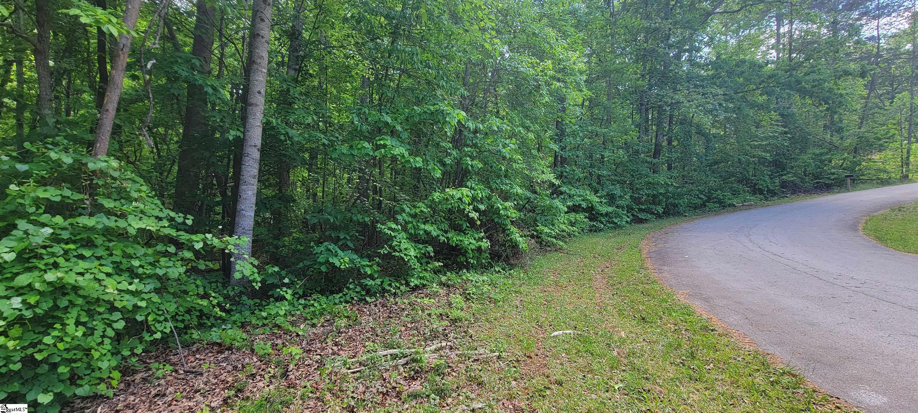 0 Lynden Loop Westminster, SC 29693 - Photo 6 of 19