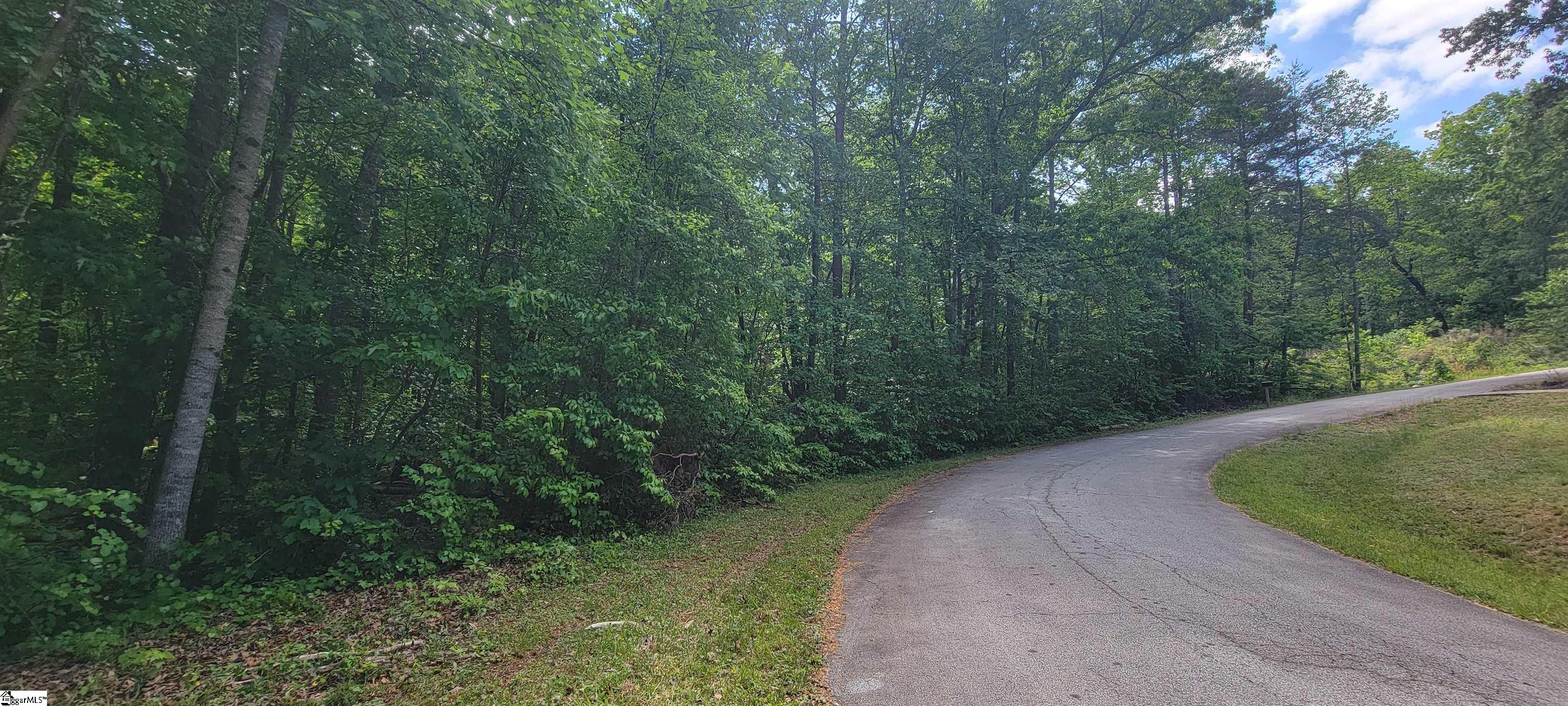 0 Lynden Loop Westminster, SC 29693 - Photo 8 of 19