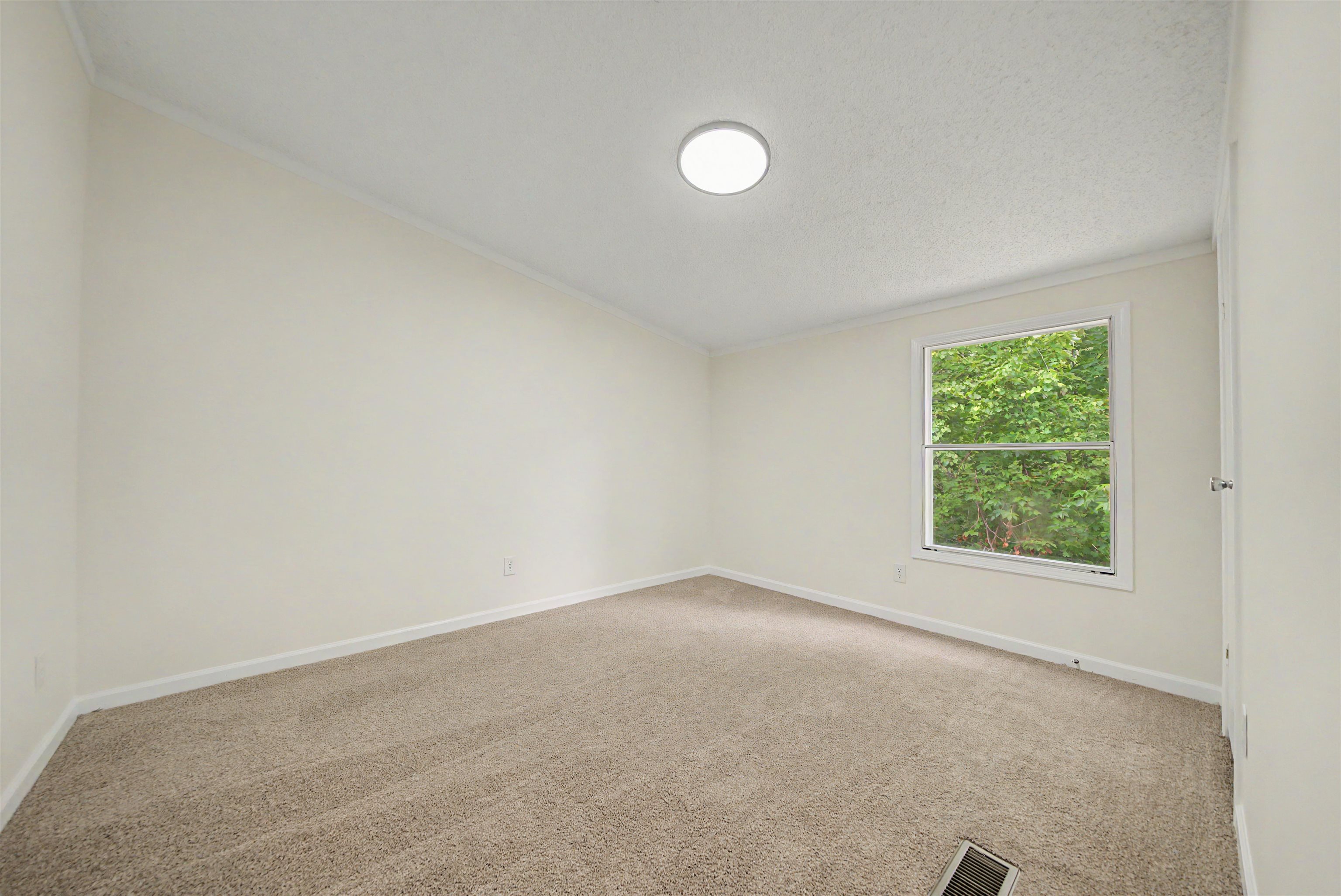 890 Burks Road Savannah, TN 38372 - Photo 18 of 40 an empty room with windows