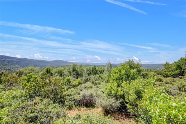 $98,500 | 23 Clark Ranch Way, Brownsville, CA 95919