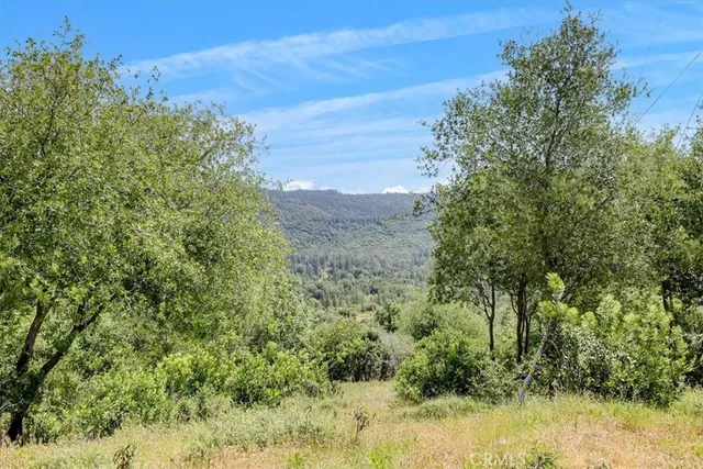 $98,500 | 23 Clark Ranch Way, Brownsville, CA 95919