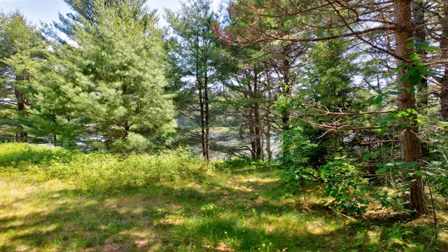 $65,000 | M19-l8 Church Farm Road, Beddington, ME 04622