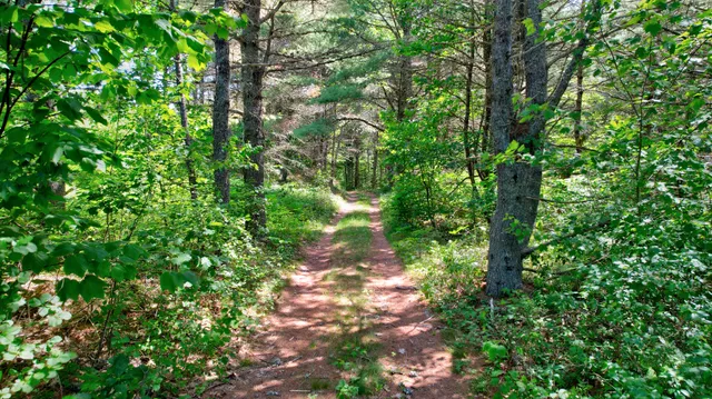 $65,000 | M19-l8 Church Farm Road, Beddington, ME 04622