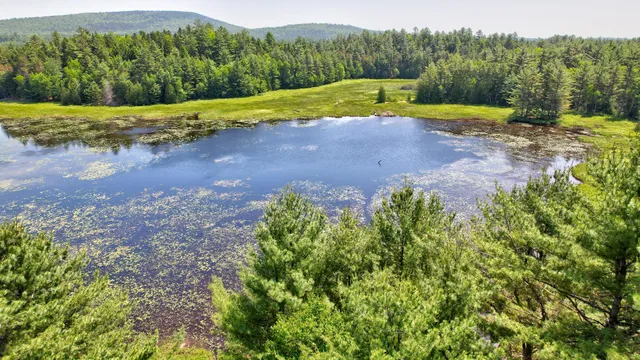 $65,000 | M19-l8 Church Farm Road, Beddington, ME 04622