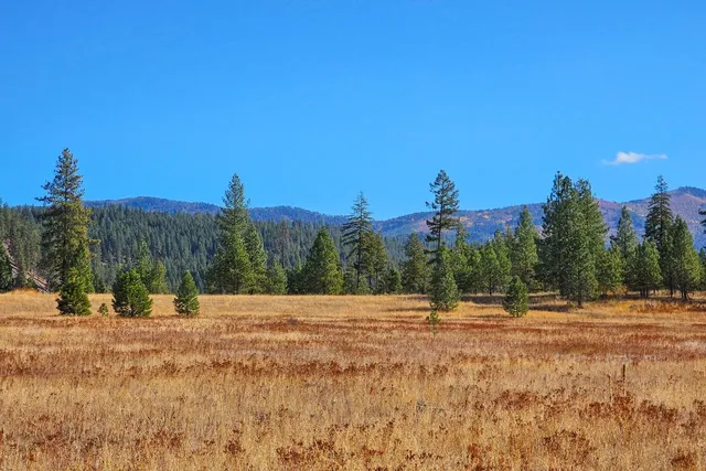 $799,000 | 3226 Flyckt Road, Chewelah, WA 99109