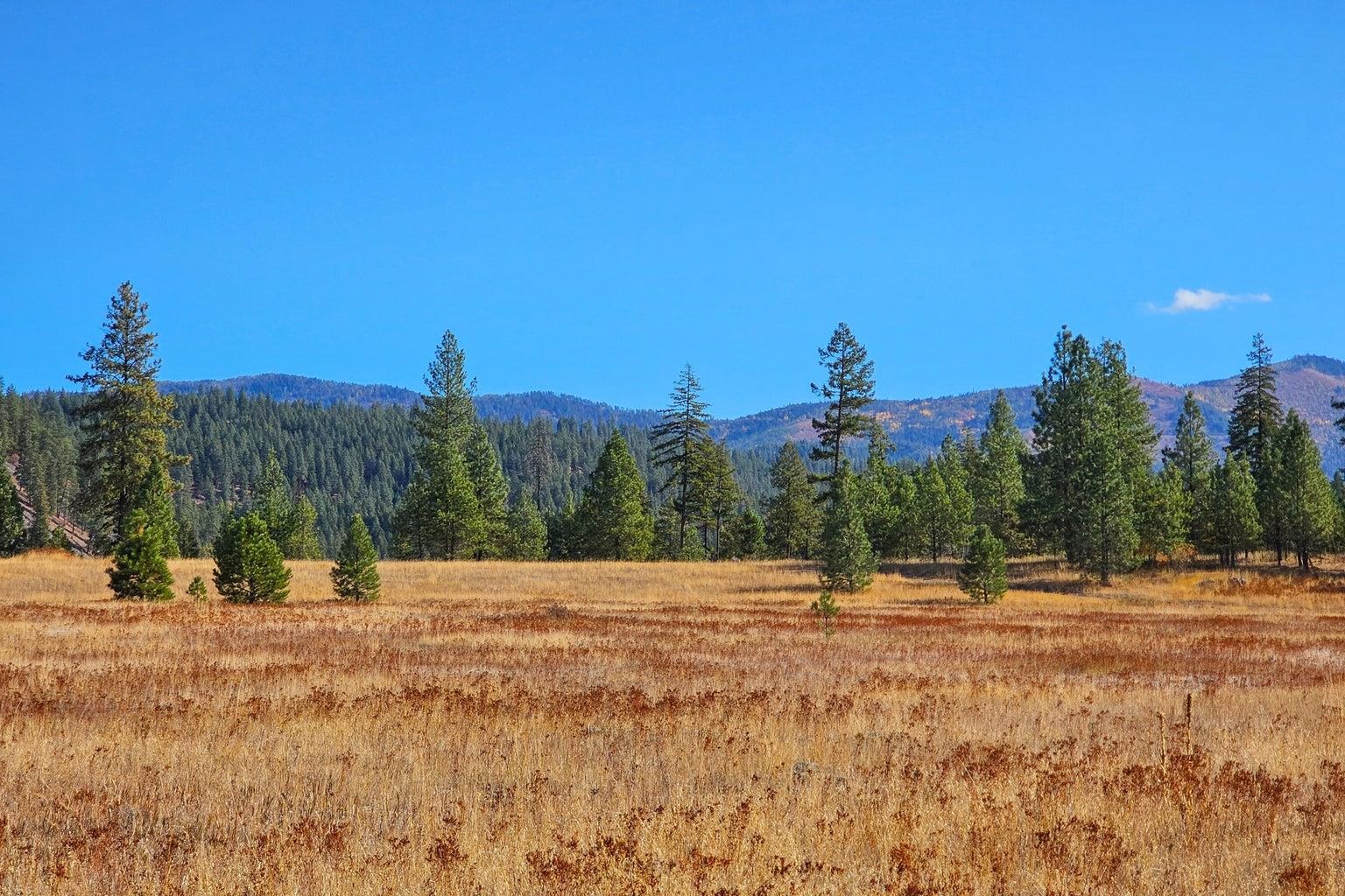 3226 Flyckt Road Chewelah, WA 99109 - Photo 23 of 25