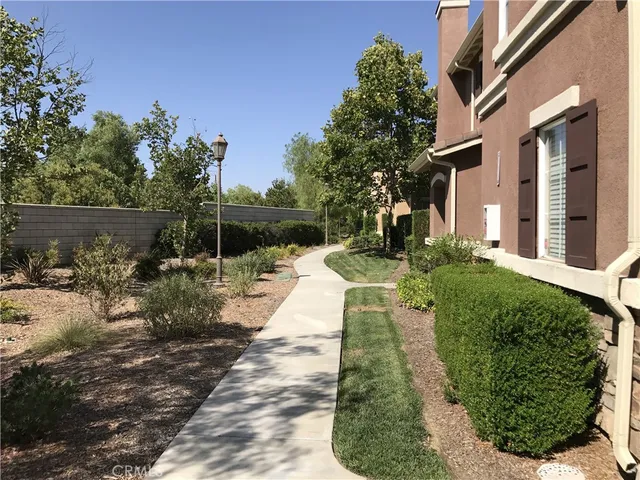 a view of a backyard with potted plants and large tree