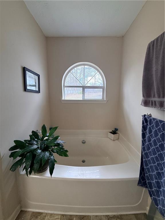 3680 Hamilton Dam Road Dacula, GA 30019 - Photo 23 of 33 a bathroom with a potted plant