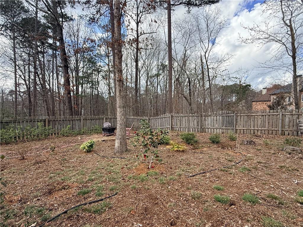 3680 Hamilton Dam Road Dacula, GA 30019 - Photo 30 of 33 a backyard of a house with lots of green space