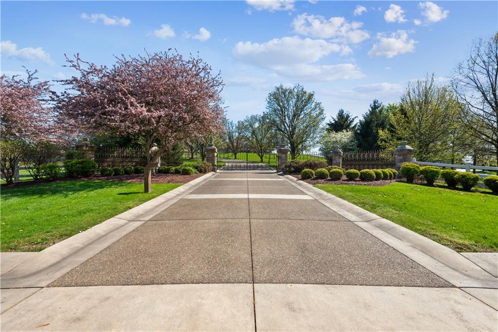 152 Justabout Road Venetia, PA 15367 - Photo 47 of 50 a view of a park with large trees