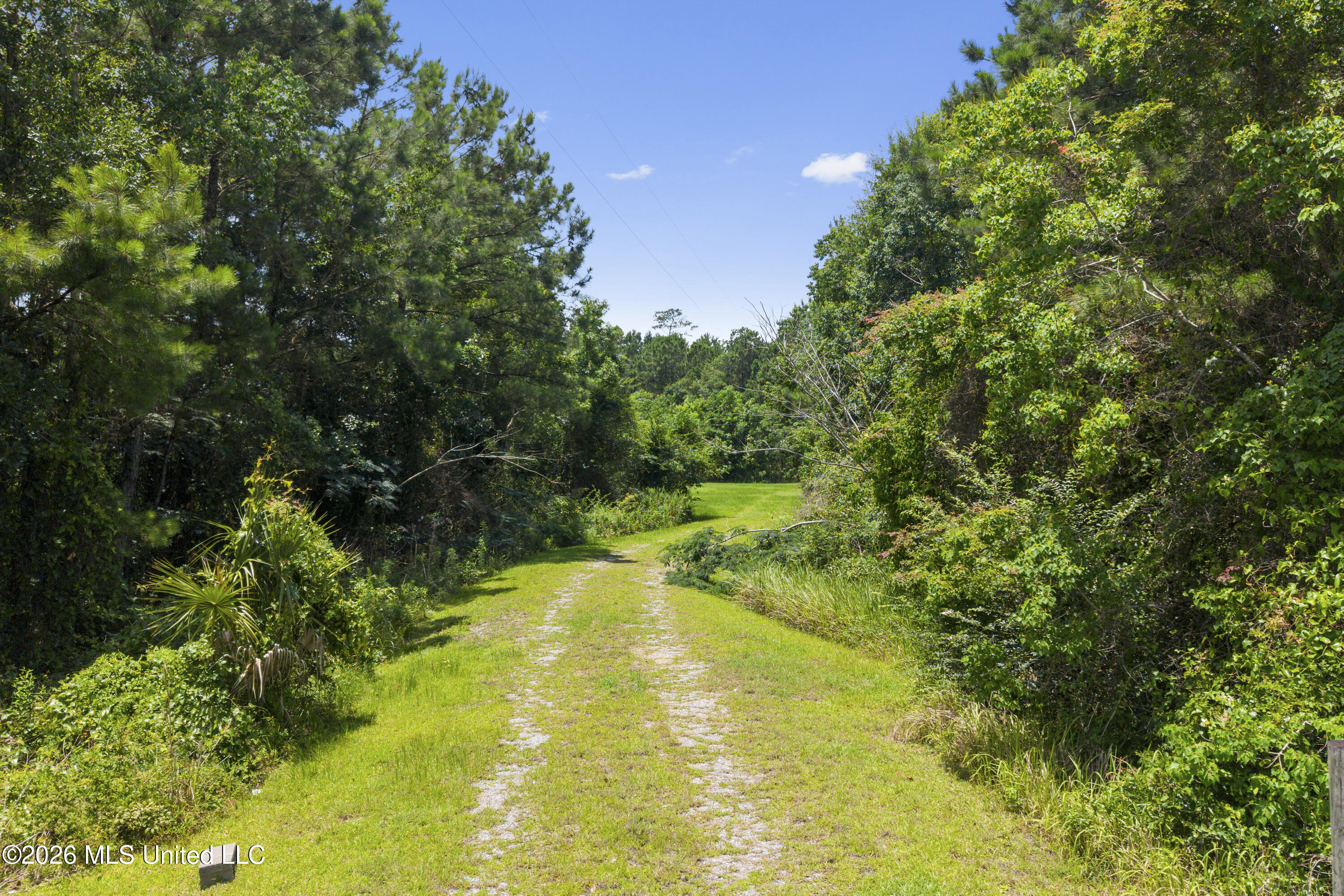 1441 Blue Meadow Road Bay St. Louis, MS 39520 - Photo 2 of 29 00003