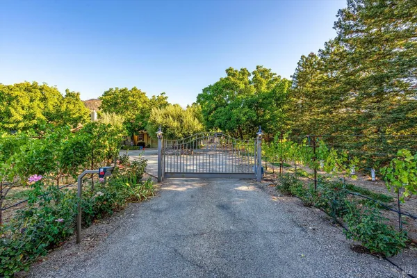 a view of backyard with green space