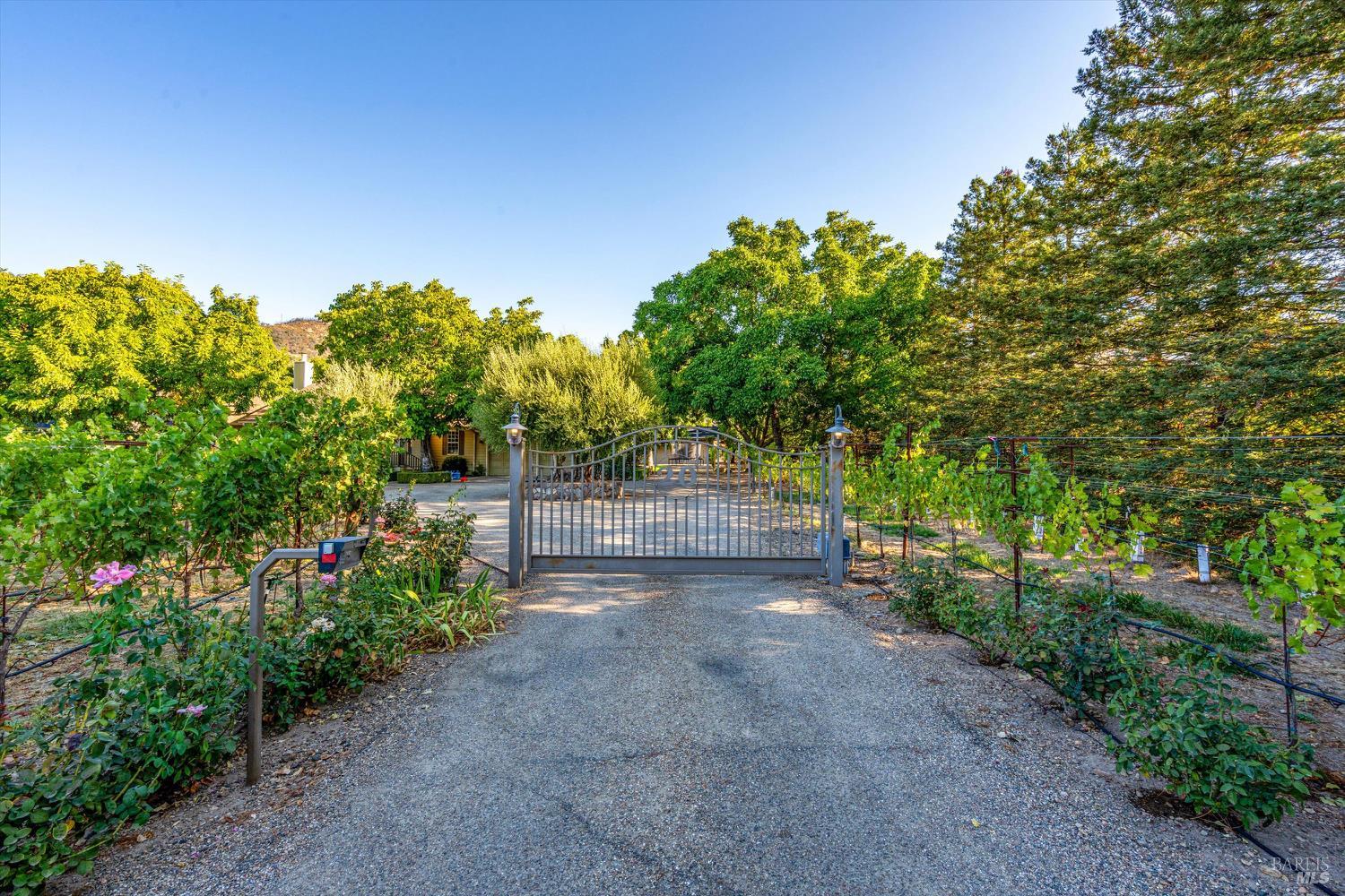 20 Rosedale Road Calistoga, CA 94515 - Photo 2 of 47 a view of backyard with green space