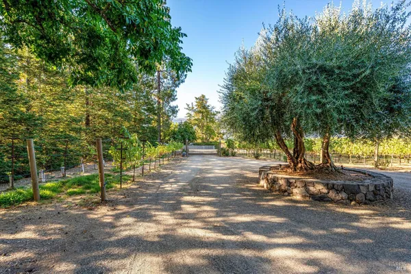a view of a street with trees and bushes