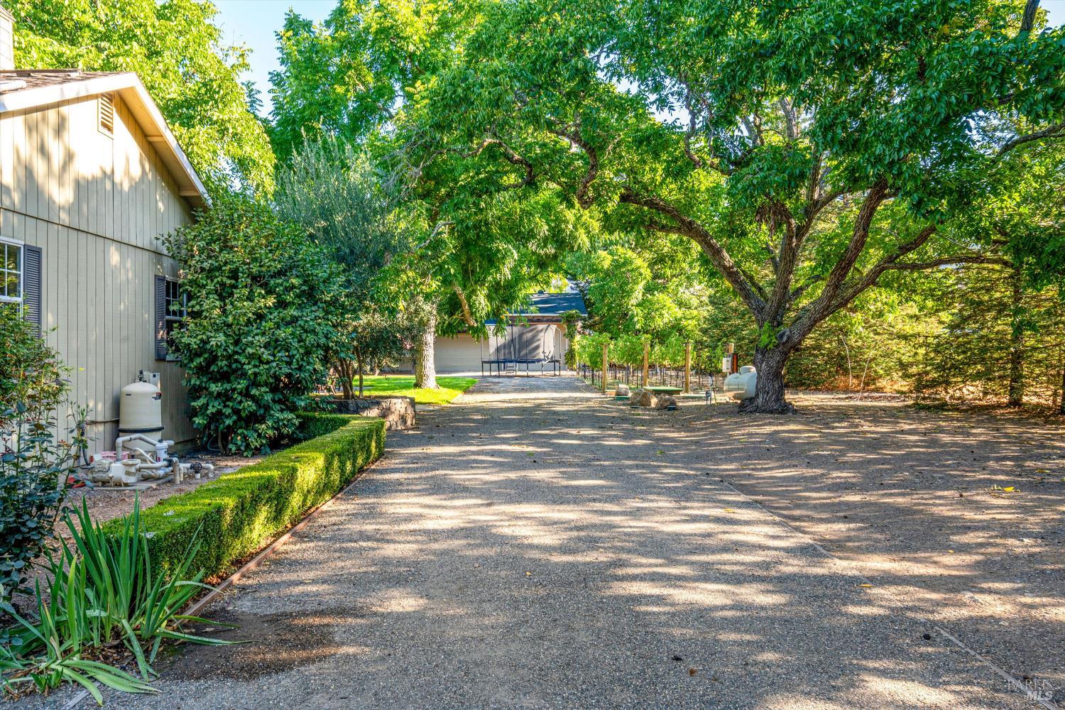 20 Rosedale Road Calistoga, CA 94515 - Photo 47 of 47 a view of a house with large trees and a yard
