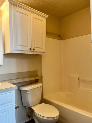 a bathroom with a toilet a sink and bathtub
