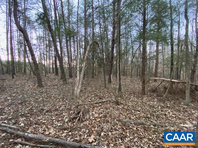 0 Cuckoo Road, Unit 5 Mineral, VA 23117 - Photo 4 of 12 Gallery Image 4