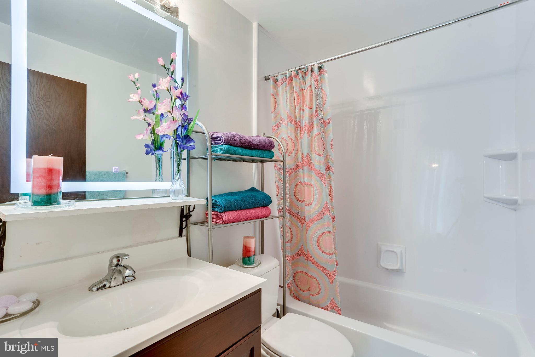 8723 Ridge Hollow Court Springfield, VA 22152 - Photo 23 of 29 Bath.