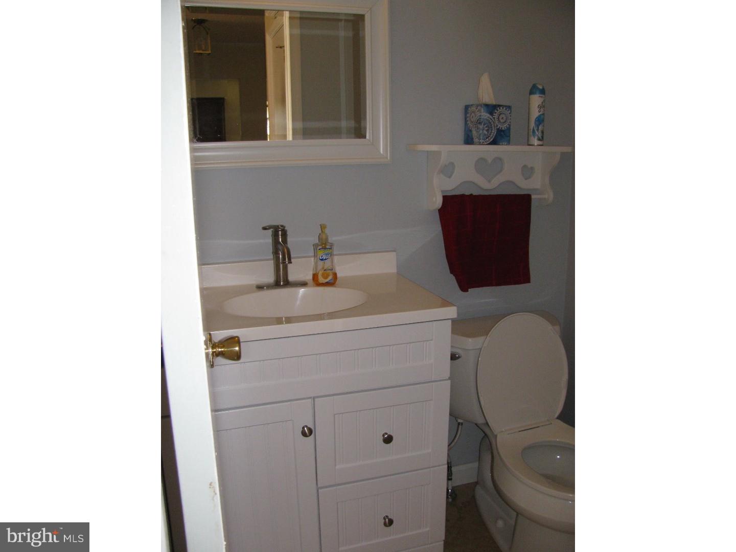 226 Rushes Drive Bear, DE 19701 - Photo 13 of 26 Powder room