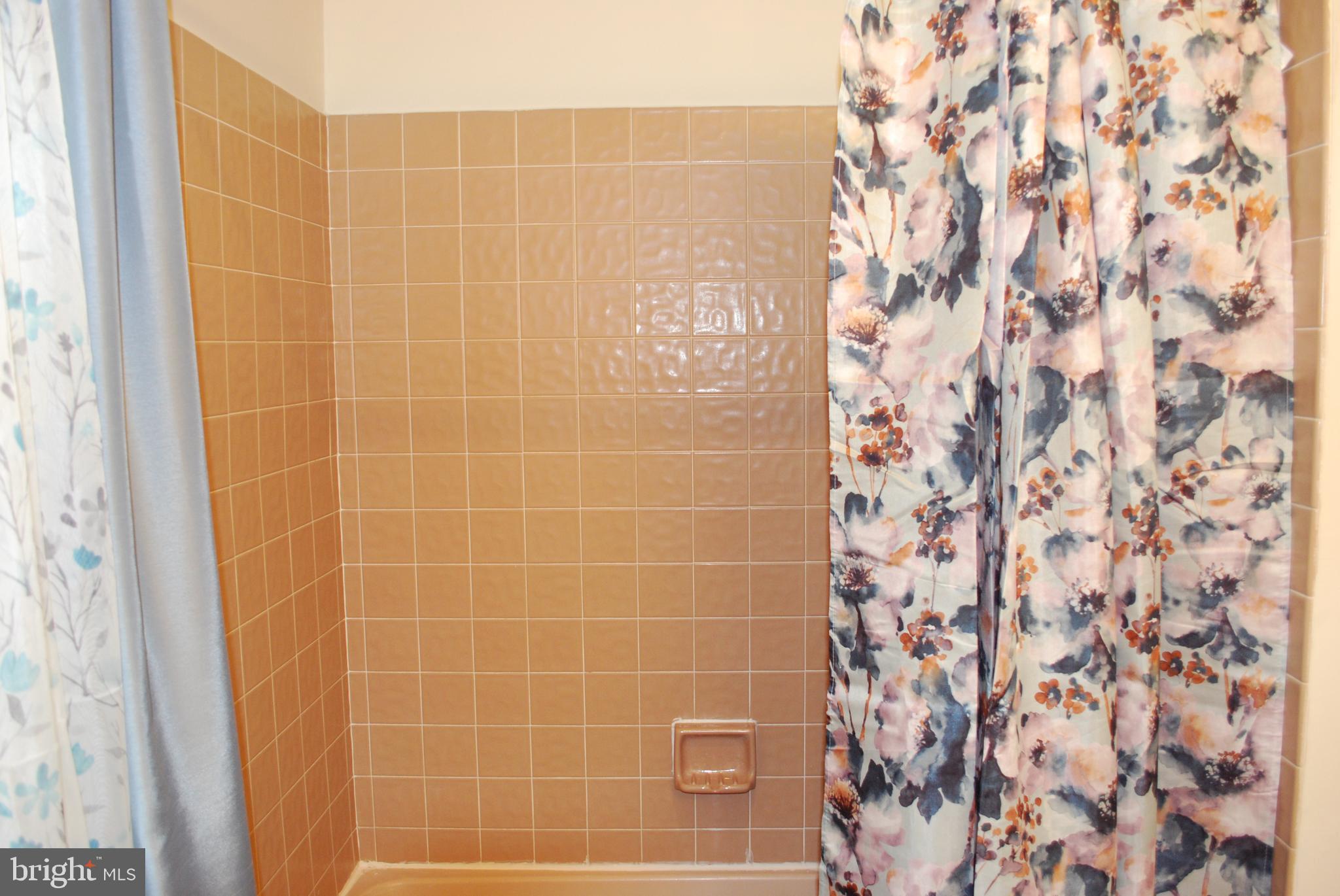 226 Rushes Drive Bear, DE 19701 - Photo 25 of 26 Hall bath