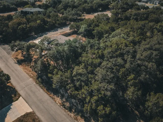 a view of a forest with a tree