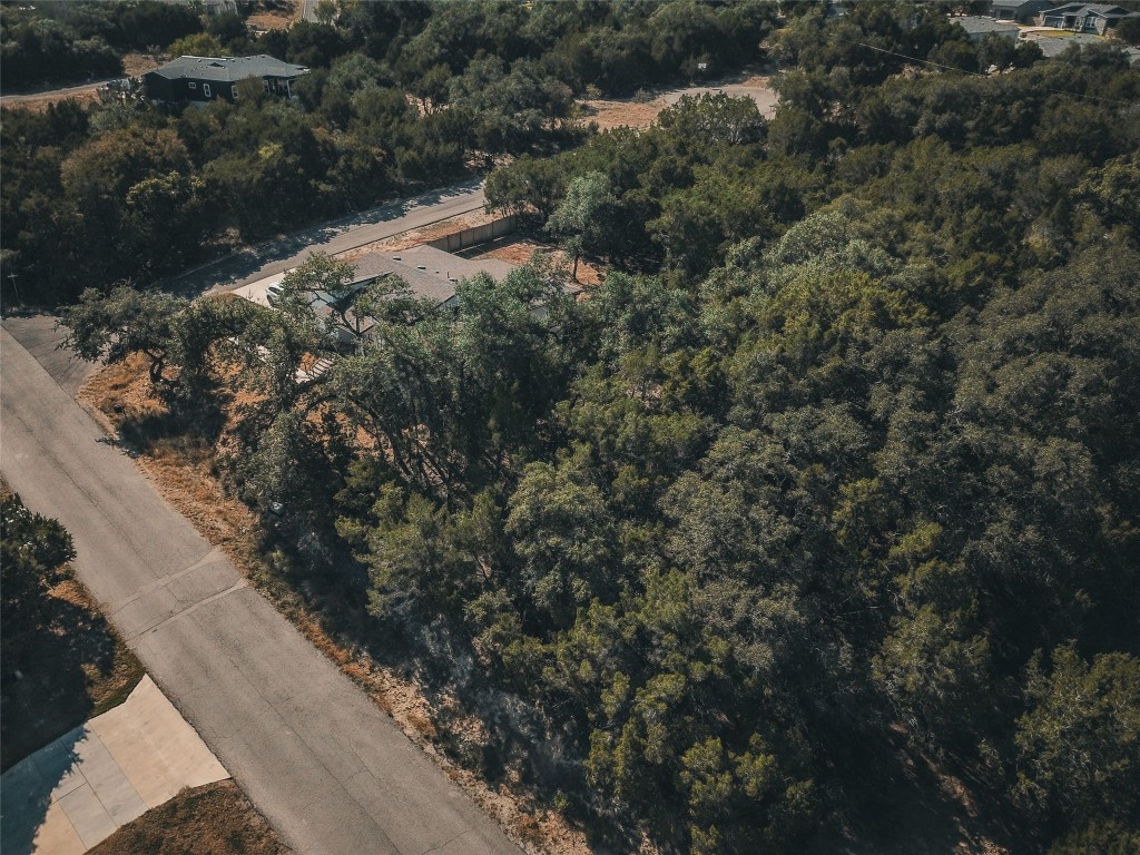 21703 Pope Drive Leander, TX 78645 - Photo 9 of 13 a view of a forest with a tree