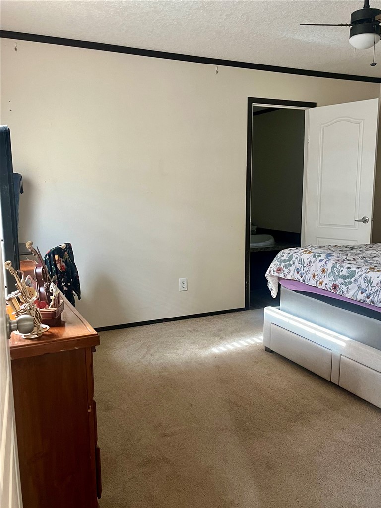 2704 Walhalla Highway Six Mile, SC 29682 - Photo 16 of 37