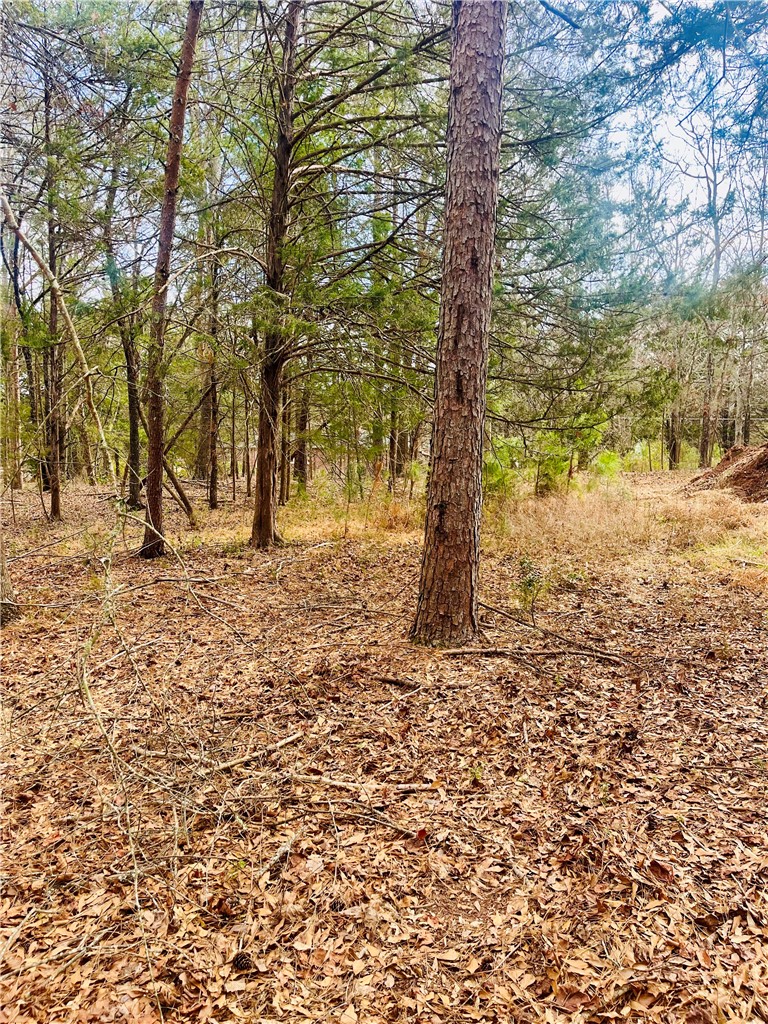 2704 Walhalla Highway Six Mile, SC 29682 - Photo 22 of 37