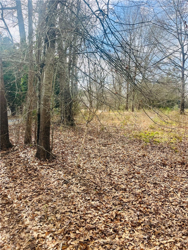 2704 Walhalla Highway Six Mile, SC 29682 - Photo 23 of 37