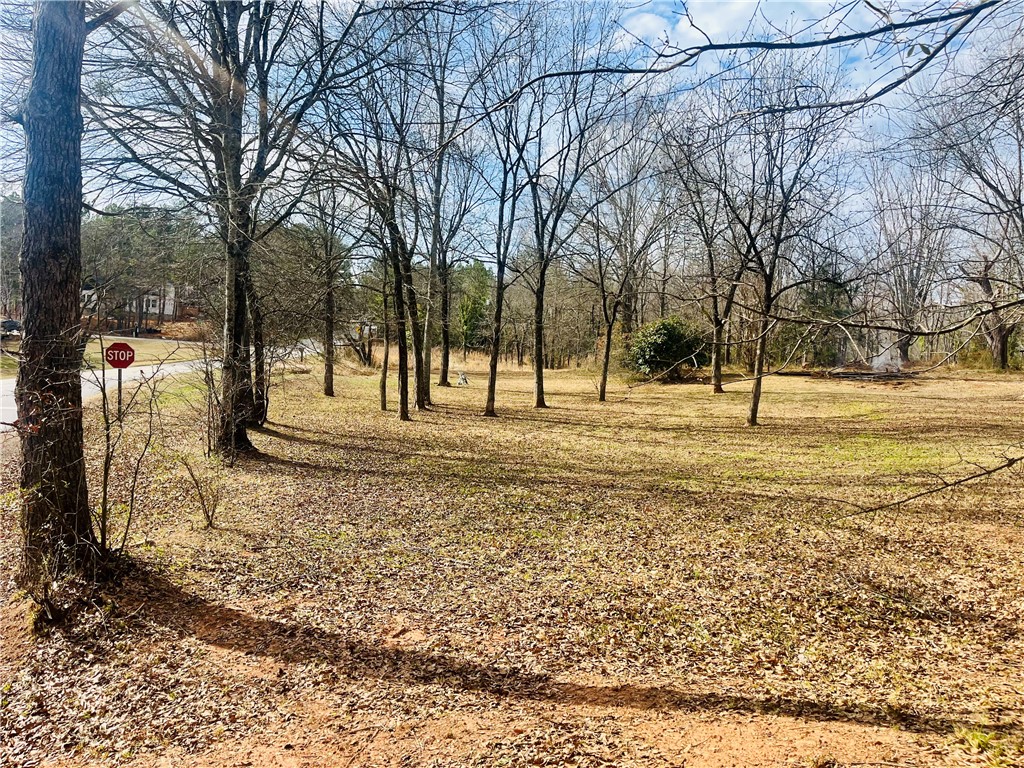 2704 Walhalla Highway Six Mile, SC 29682 - Photo 25 of 37