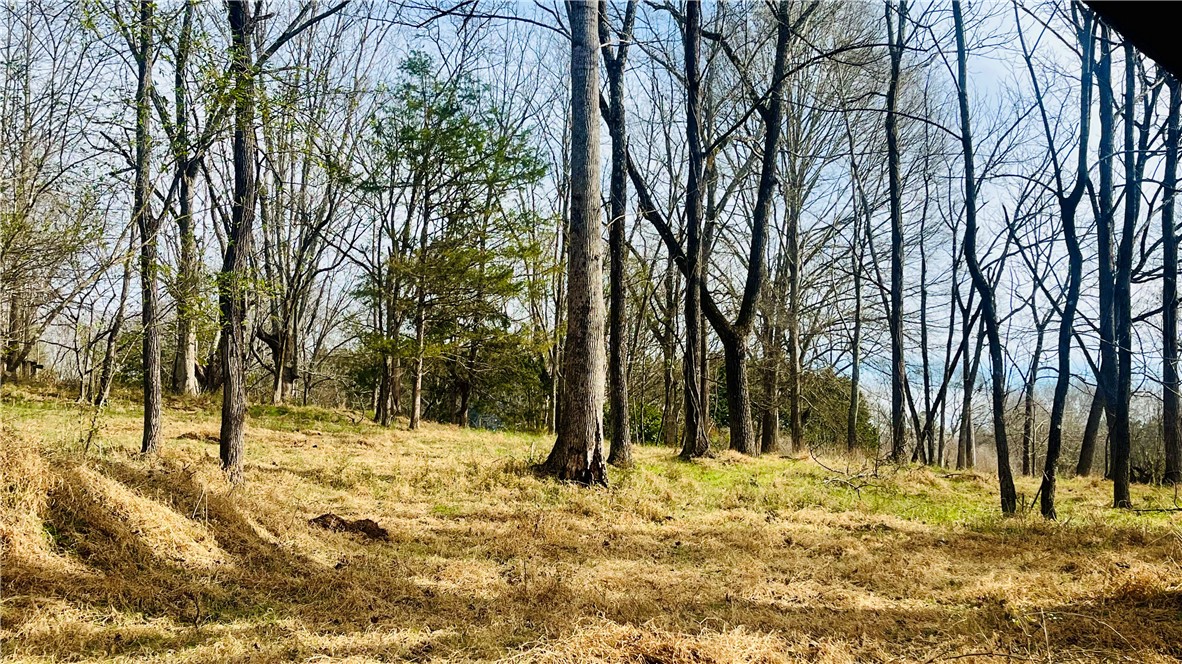 2704 Walhalla Highway Six Mile, SC 29682 - Photo 28 of 37