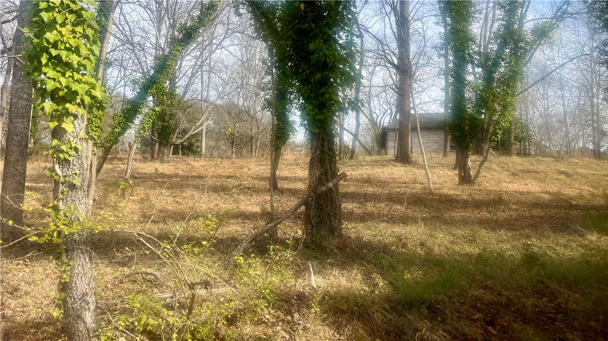 2704 Walhalla Highway Six Mile, SC 29682 - Photo 29 of 37