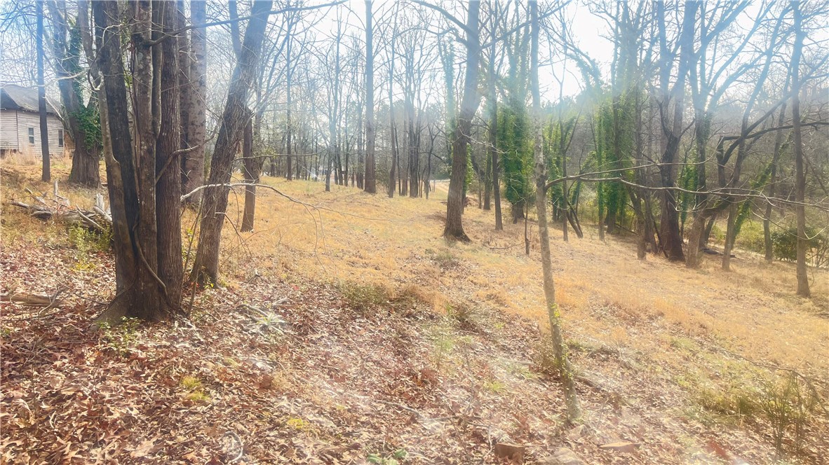 2704 Walhalla Highway Six Mile, SC 29682 - Photo 32 of 37