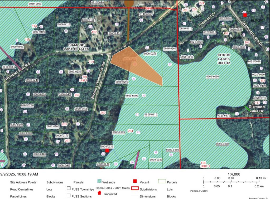 246 Browns Hammock Road Crescent City, FL 32112 - Photo 2 of 5 a green field with lots of trees